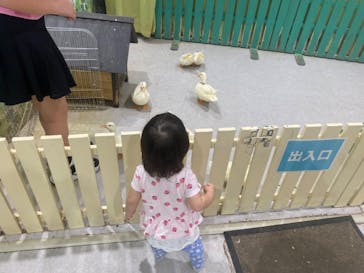 アニタッチアクアシティお台場に投稿された画像（2024/8/24）