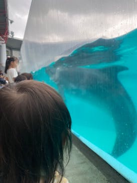 しながわ水族館に投稿された画像（2024/9/15）