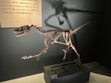 福井県立恐竜博物館に投稿された画像（2024/9/15）