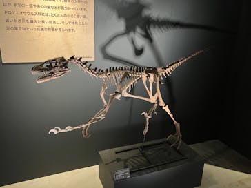 福井県立恐竜博物館に投稿された画像（2024/9/15）