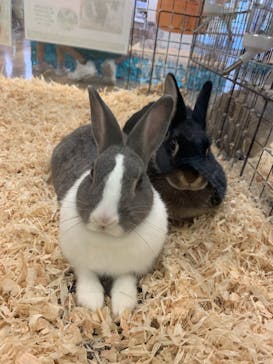 いきもの探検隊湘南に投稿された画像（2024/9/15）