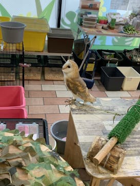 いきもの探検隊湘南に投稿された画像（2024/9/15）