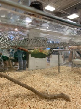 いきもの探検隊湘南に投稿された画像（2024/9/15）