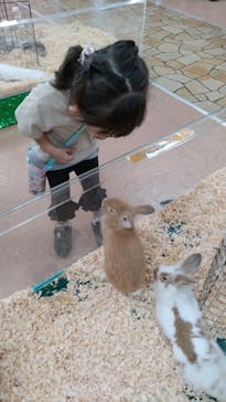 いきもの探検隊上尾に投稿された画像（2024/9/15）