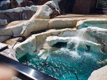 恩賜上野動物園に投稿された画像（2024/9/15）