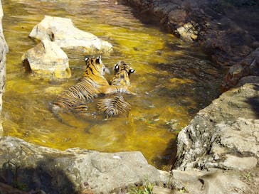 恩賜上野動物園に投稿された画像（2024/9/15）