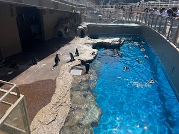 アクアワールド茨城県大洗水族館に投稿された画像（2024/9/15）