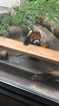 天王寺動物園に投稿された画像（2024/9/15）