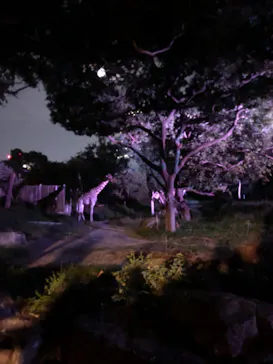 天王寺動物園に投稿された画像（2024/9/15）