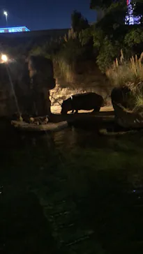 天王寺動物園に投稿された画像（2024/9/15）