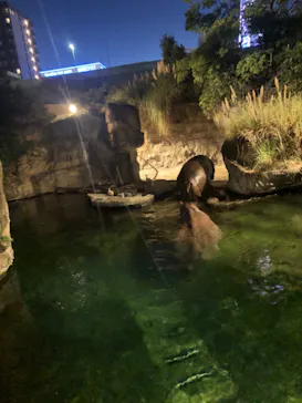 天王寺動物園に投稿された画像（2024/9/15）