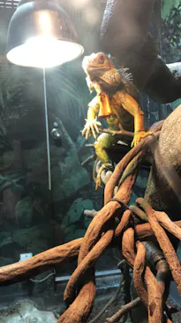 天王寺動物園に投稿された画像（2024/9/15）