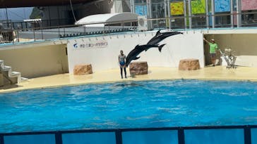 伊豆・三津シーパラダイスに投稿された画像（2024/9/15）