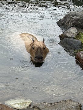 那須どうぶつ王国に投稿された画像（2024/9/15）