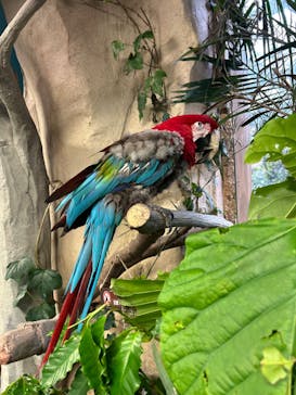 那須どうぶつ王国に投稿された画像（2024/9/15）