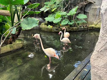 那須どうぶつ王国に投稿された画像（2024/9/15）