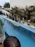 仙台うみの杜水族館に投稿された画像（2024/9/15）
