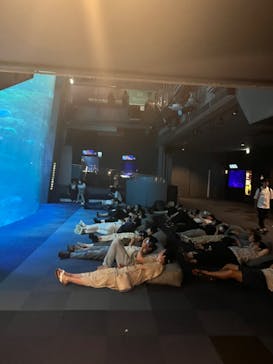 新江ノ島水族館に投稿された画像（2024/9/15）