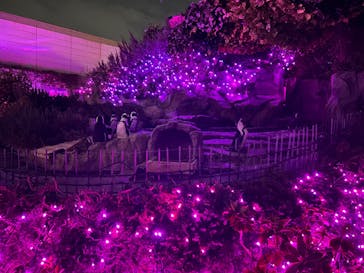 サンシャイン水族館に投稿された画像（2024/9/15）