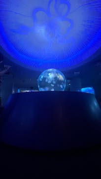 新江ノ島水族館に投稿された画像（2024/9/15）