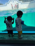 しながわ水族館に投稿された画像（2024/9/15）