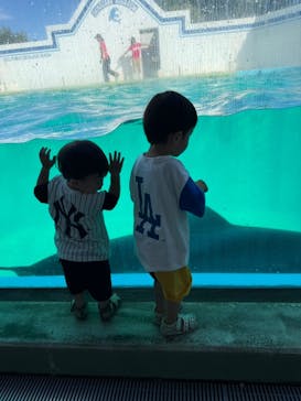 しながわ水族館に投稿された画像（2024/9/15）