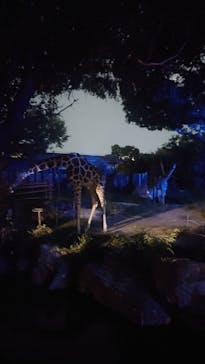 天王寺動物園に投稿された画像（2024/9/15）