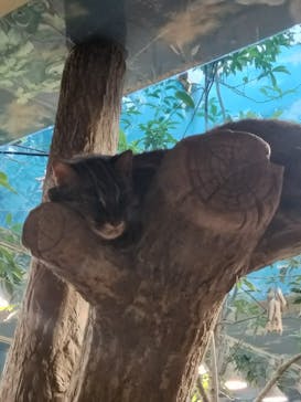 那須どうぶつ王国に投稿された画像（2024/9/15）