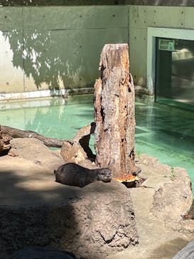 千葉市動物公園に投稿された画像（2024/9/15）