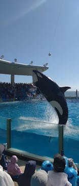 鴨川シーワールドに投稿された画像（2024/9/15）