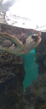 鴨川シーワールドに投稿された画像（2024/9/15）