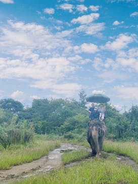 那須ワールドモンキーパークに投稿された画像（2024/9/15）