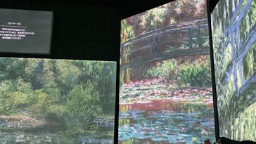 モネ＆フレンズ・アライブに投稿された画像（2024/9/15）