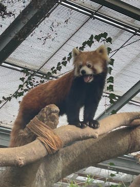 神戸どうぶつ王国に投稿された画像（2024/9/15）