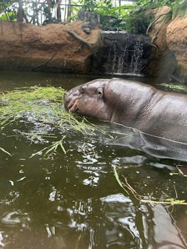 神戸どうぶつ王国に投稿された画像（2024/9/15）