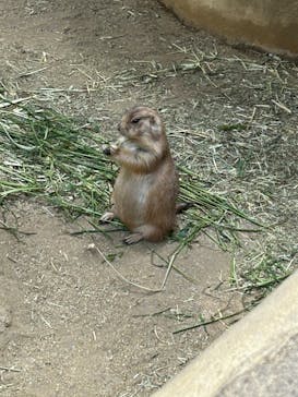 神戸どうぶつ王国に投稿された画像（2024/9/15）