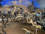 福井県立恐竜博物館に投稿された画像（2024/9/15）