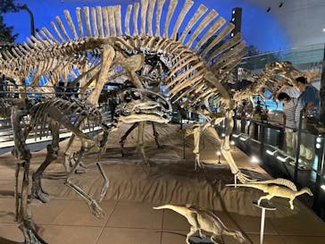 福井県立恐竜博物館に投稿された画像（2024/9/15）