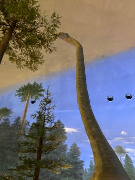 福井県立恐竜博物館に投稿された画像（2024/9/15）