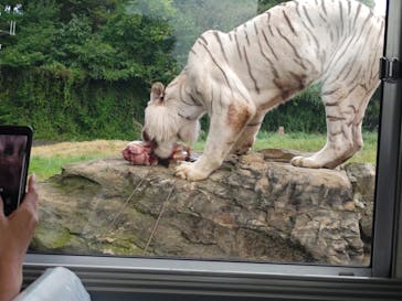 群馬サファリパークに投稿された画像（2024/9/15）