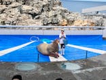 大分マリーンパレス水族館 「うみたまご」に投稿された画像（2024/9/15）