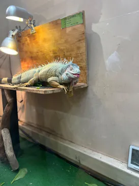 仙台うみの杜水族館に投稿された画像（2024/9/15）