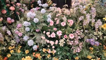 モネ＆フレンズ・アライブに投稿された画像（2024/9/15）