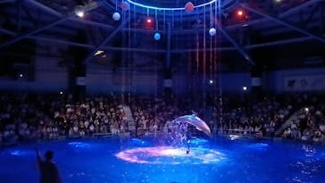 マクセル アクアパーク品川に投稿された画像（2024/9/15）