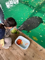 沖縄美ら海水族館に投稿された画像（2024/9/15）