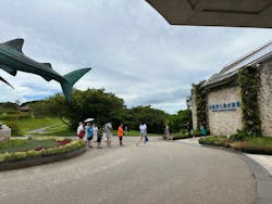 沖縄美ら海水族館に投稿された画像（2024/9/15）