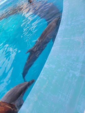 マリンワールド海の中道に投稿された画像（2024/9/15）