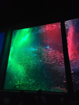 マリンワールド海の中道に投稿された画像（2024/9/15）