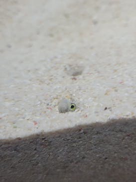 マリンワールド海の中道に投稿された画像（2024/9/15）