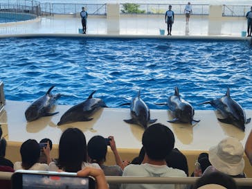 マリンワールド海の中道に投稿された画像（2024/9/15）